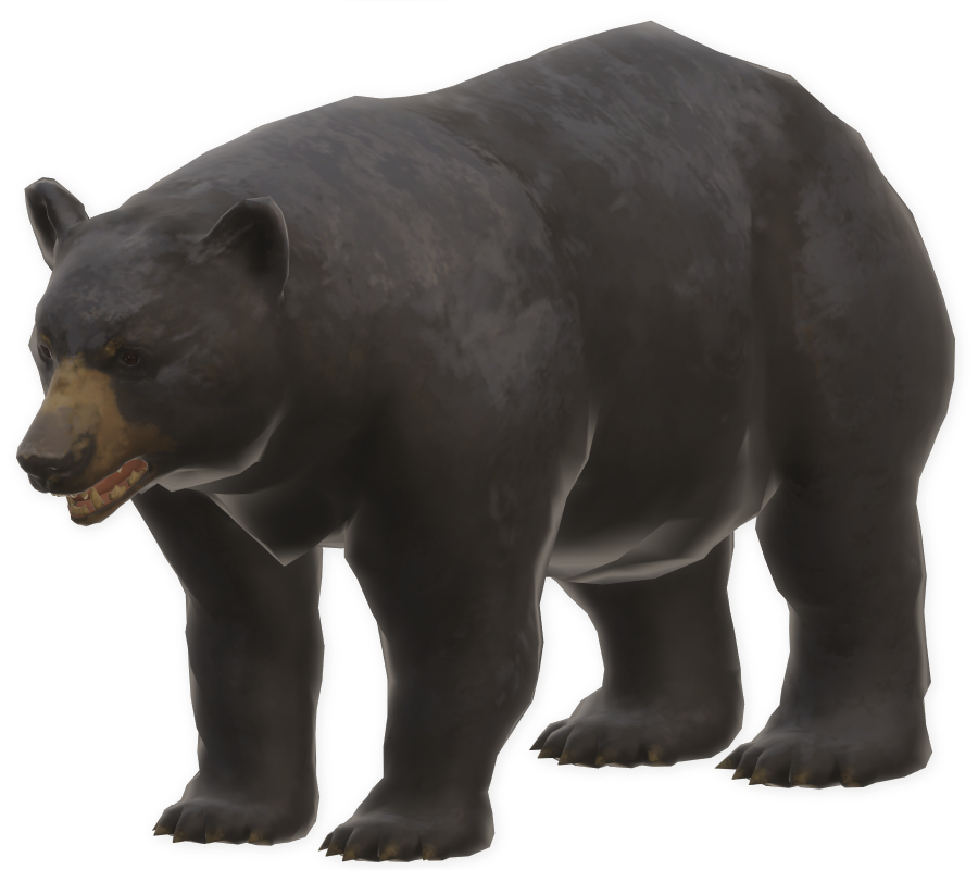 Bear, The Long Dark Wiki