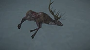 A frozen ravaged deer.