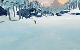 Tracking wounded wolf