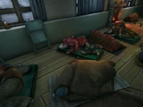 Crash Survivor