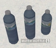 Water bottles.
