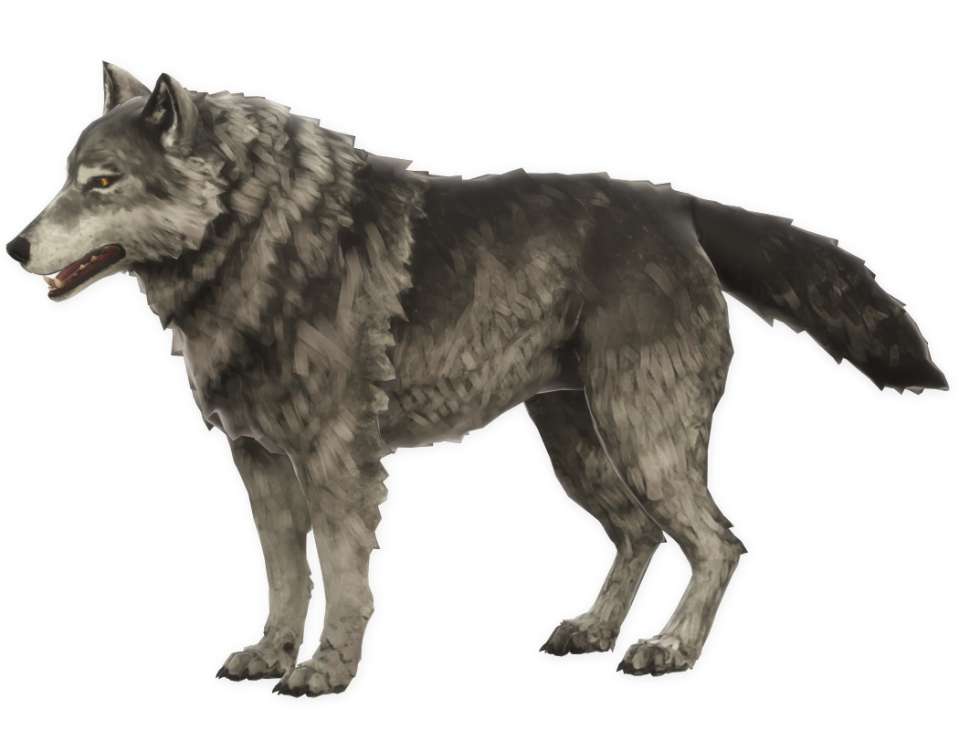 black timber wolf