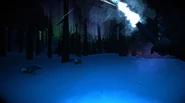 Timberwolves avoiding a Marine Flare