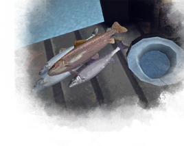 Ice Fishing background