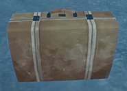 Tan Suitcase.png (1.53 MB)