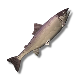 Coho Salmon (Raw) icon