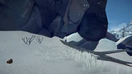 Shallow cave at the top.