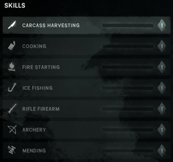 Skills screen