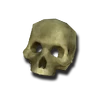 BoneHumanSkullB