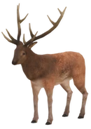 Deer (old).png (341 KB) Old deer model (v.113)