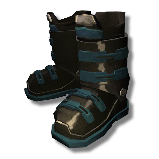 the long dark boots