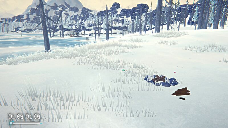 Forlorn Muskeg - Abandoned Camp - In game View