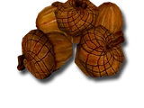 Acorns