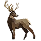 Steam Deer Badge.png (24 KB) Steam Badge