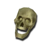 BoneHumanSkullA