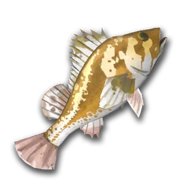 Rockfish (Raw) icon