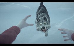 Timberwolf The Long Dark Wiki Fandom