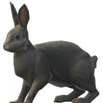 rabbit the long dark wiki fandom
