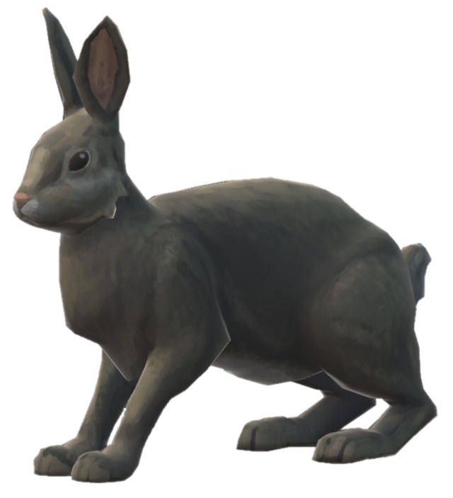 Rabbit Pelt, The Long Dark Wiki