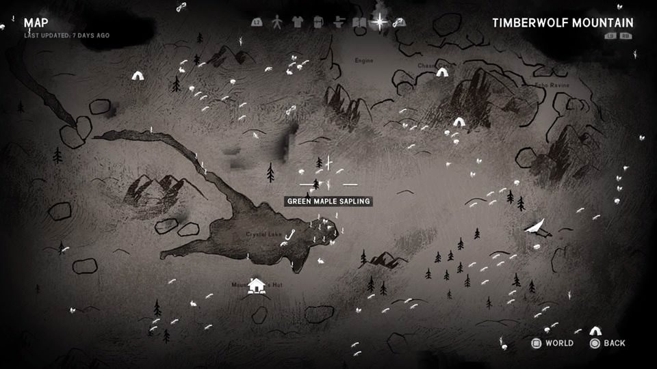 the long dark curing