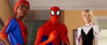Spider-Gang.jpg