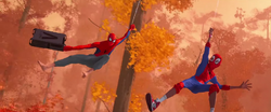 Web training 