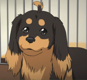 Who is the best Dog in Anime? - Forums 