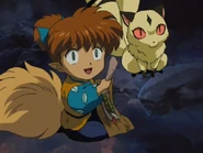 Shippo y Kirara con la Comida Seca