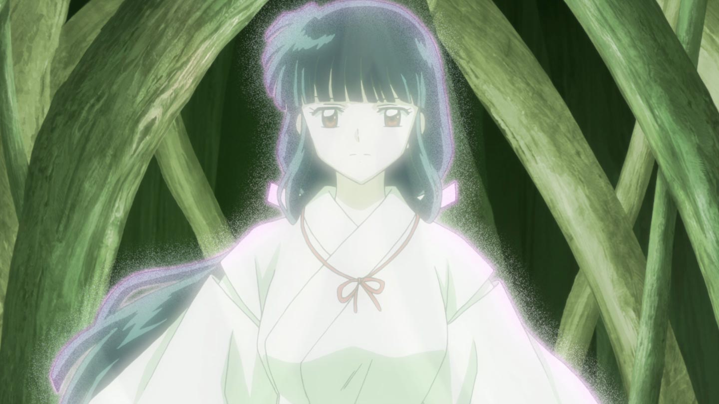 Hanyō no Yashahime, InuYasha, Fandom