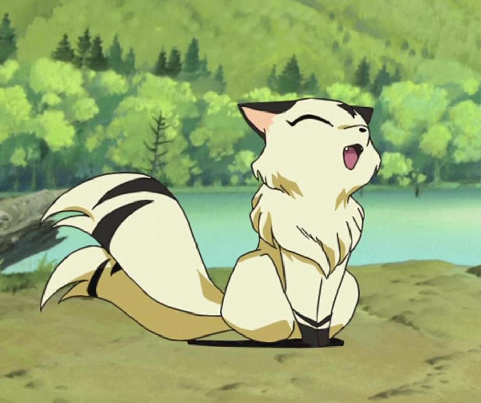 Shippou and Kirara - Inuyasha & Anime Background Wallpapers on Desktop  Nexus (Image 764428)