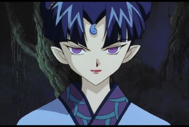 Inuyasha: Kanketsu-hen, Nicki's Critique Wiki