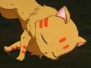 Torako débil y cansada