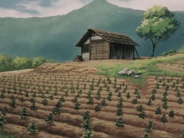 Jinenji's herb garden