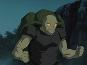 Genbu turtle shell