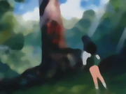 Kagome gặp Inuyasha