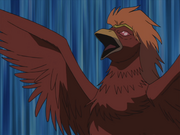 Suzaku bird