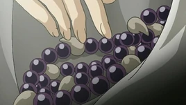 Beads of Subjugation