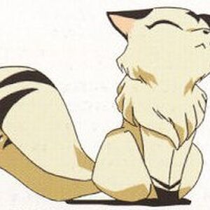 Kirara Inuyasha Wiki Fandom Looking for information on the anime kirara? kirara inuyasha wiki fandom