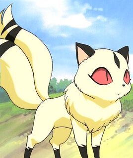 Kirara
