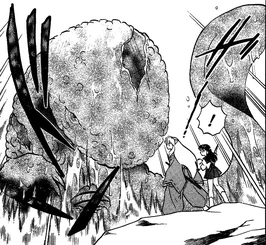 SalamanderVsInuyasha-C290