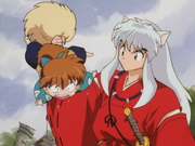 Inuyasha and shippo