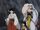 Relationship Kikyo and Sesshomaru.jpg