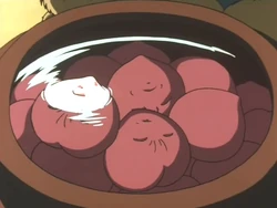 Elixir de la juventud eterna de Tokajin