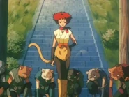 Gatos Leopardo bajo las órdenes de Karan