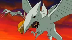 Aves Vs Insectos Venenosos