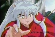 Inuyasha and tree a