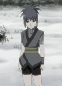 Tenchikaimei family woman | Inuyasha Fanon Wiki | Fandom