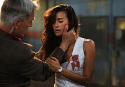 Gibbs and Ziva.jpg