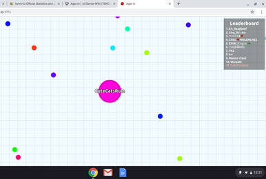 A clone of the game Agar.io used for this research. The player has