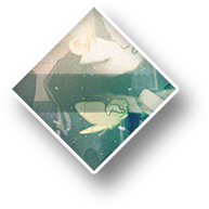 Story Absolute Reason Arcaea Wiki Fandom Story Absolute Reason Arcaea Wiki Fandom